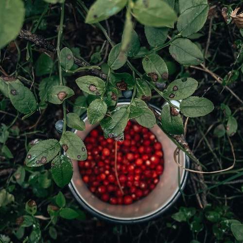 Photo #7839953