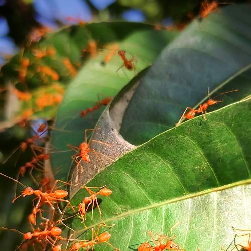 Photo #7840066