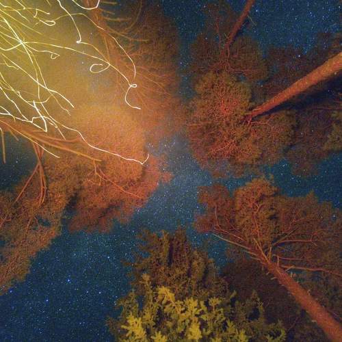Photo #7840095