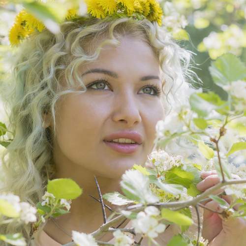 Photo #7840112