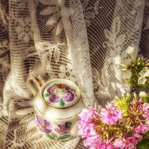 Photo #7840235
