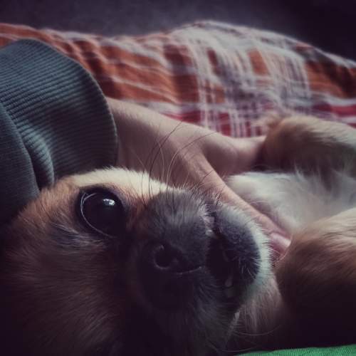 Photo #7840464