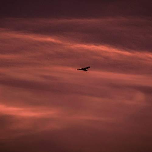 Photo #7840813