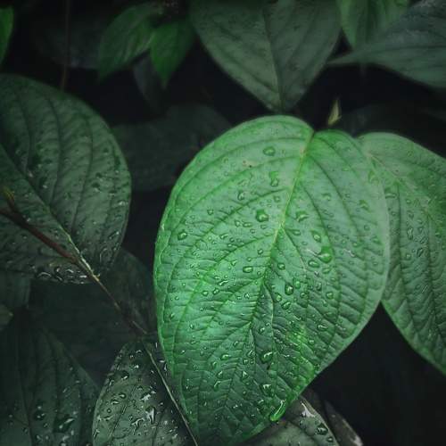 Photo #7840849