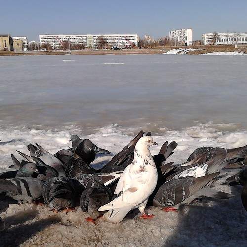 Photo #7841682