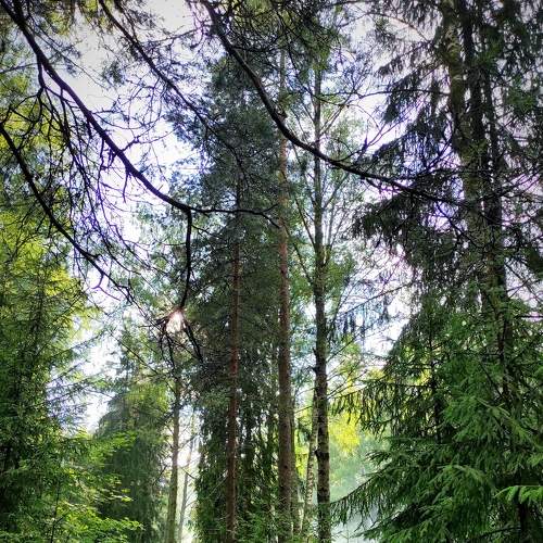 Photo #7841683