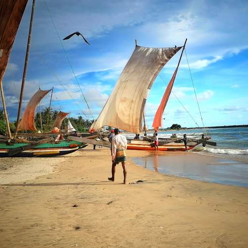 Photo #7841776