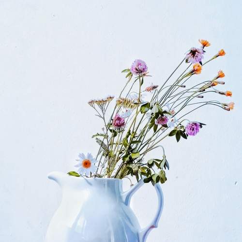 Photo #7841777