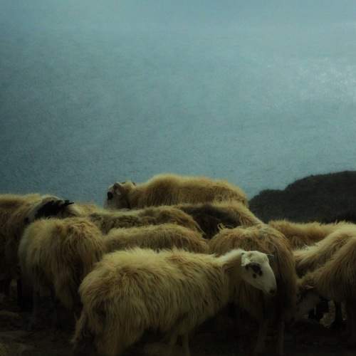 Photo #7841921