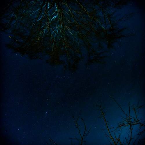 Photo #7842466