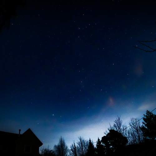 Photo #7842469