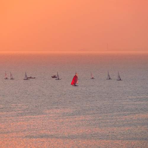 Фотография #7842856