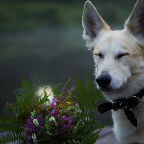 Photo #7842868