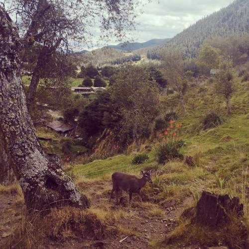 Photo #7843006