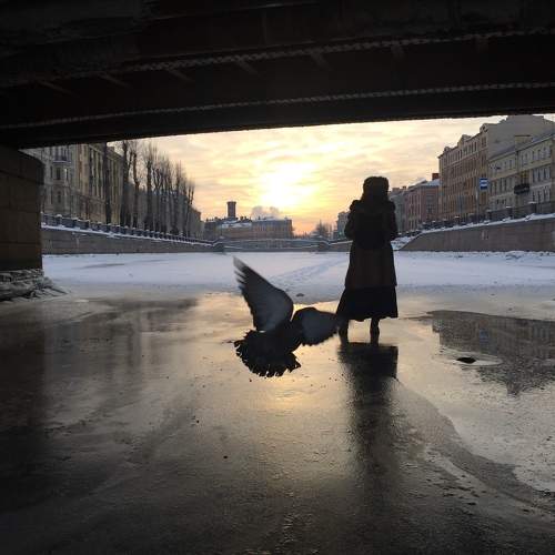 Photo #7843026