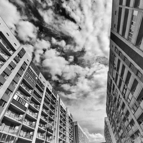 Photo #7843439