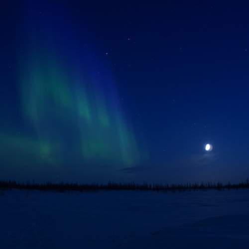 Photo #7843687
