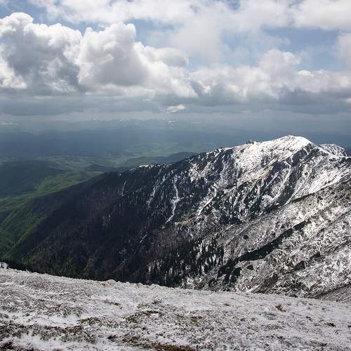 Photo #7843737