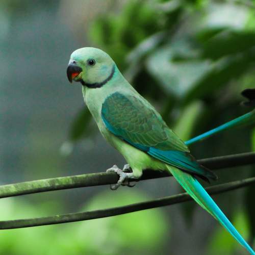 Photo #7843843
