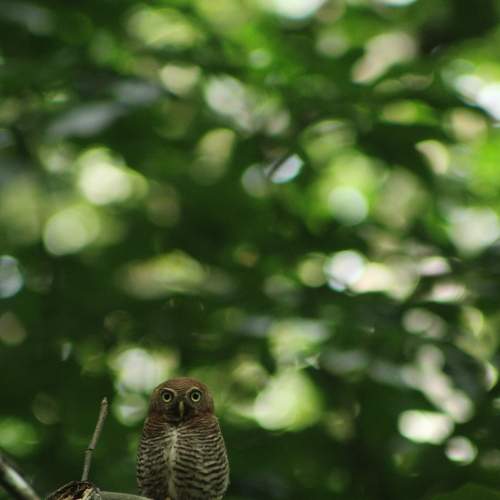 Photo #7843852