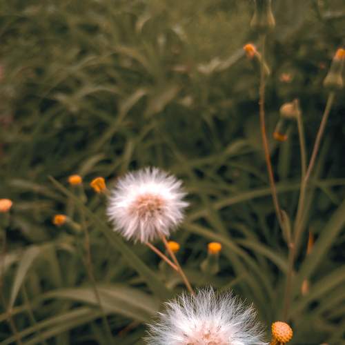 Photo #7844275