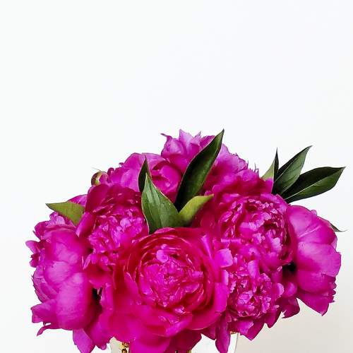 Photo #7844586