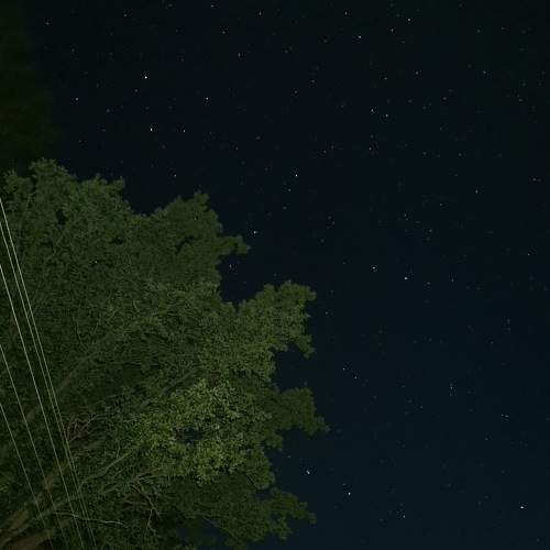Photo #7844607