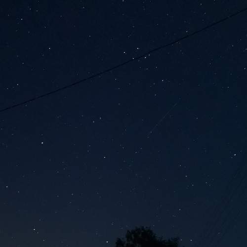 Photo #7844610