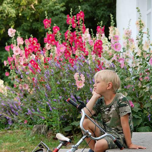 Photo #7844977
