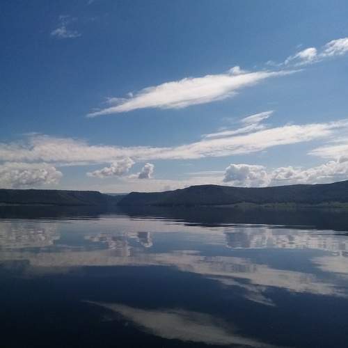 Photo #7845213