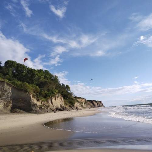 Photo #7845529