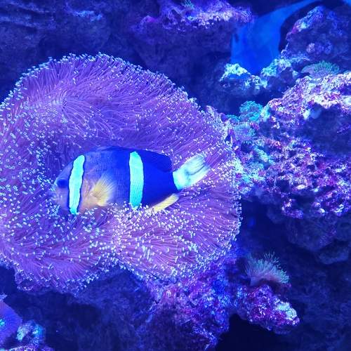 Photo #7845666