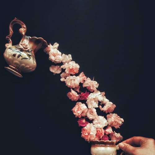 Photo #7845779