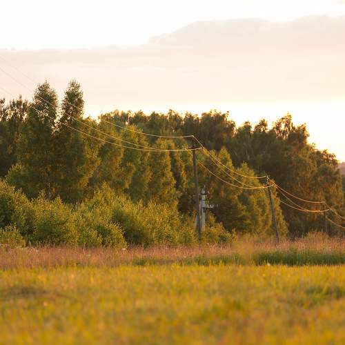 Photo #7846160