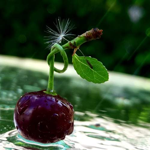 Photo #7846413