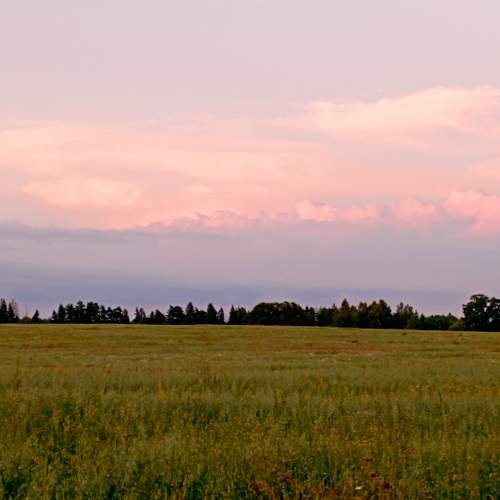 Photo #7846602