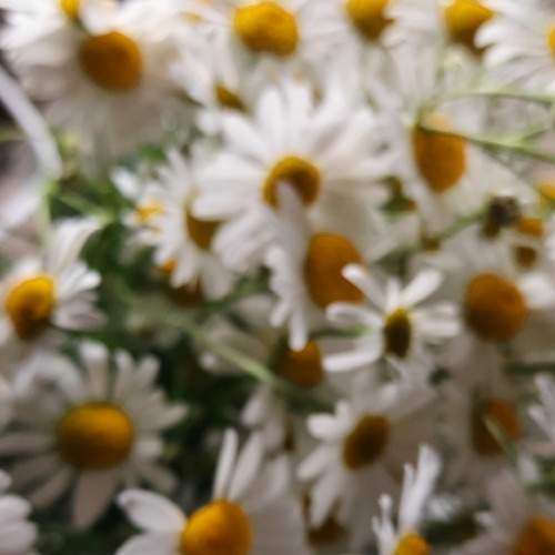 Photo #7846769