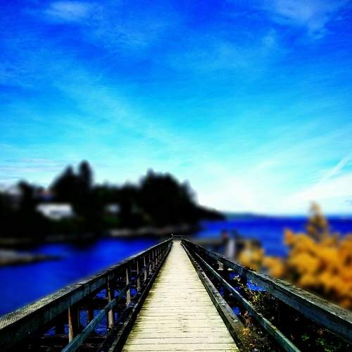 Photo #7848022