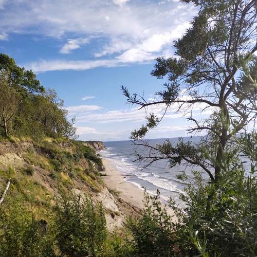 Photo #7848779
