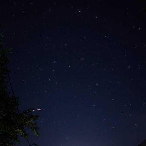 Photo #7849096