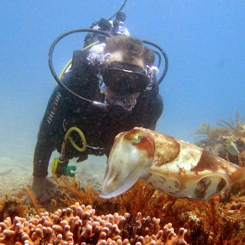 Photo #7849435