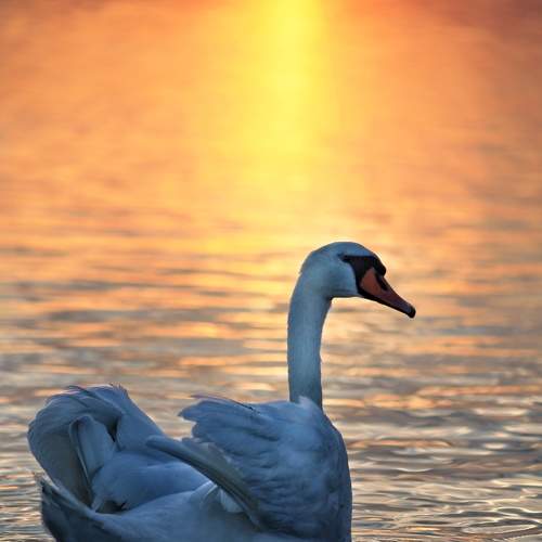 Photo #7849957
