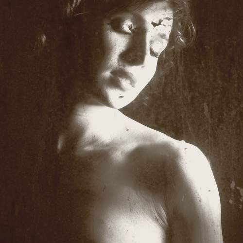 Photo #7850343