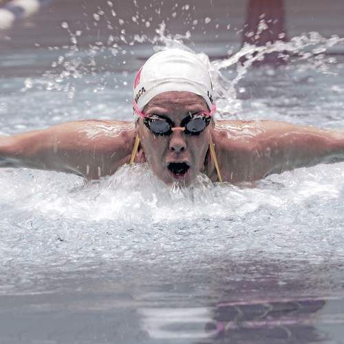 Photo #7850441