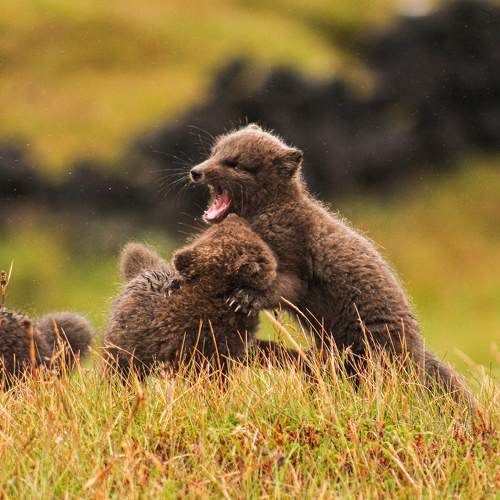 Photo #7850902