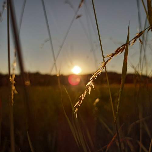 Photo #7851010