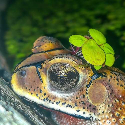Photo #7851167