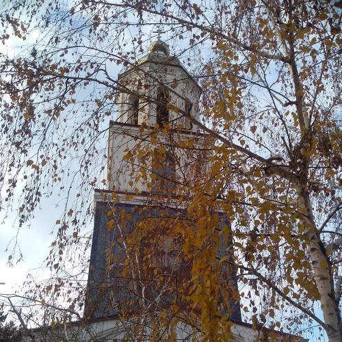 Photo #7851286