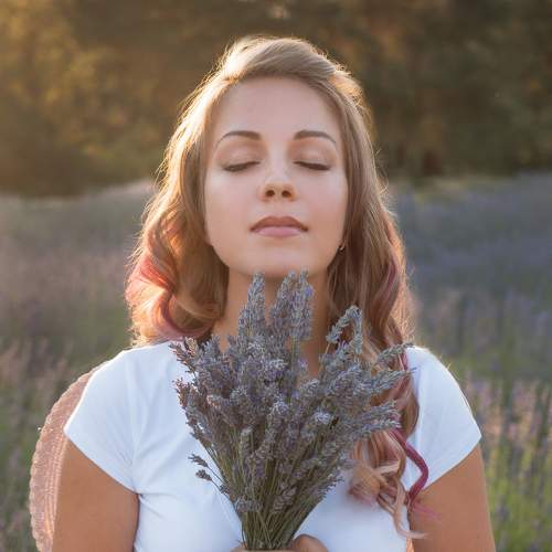 Photo #7851520