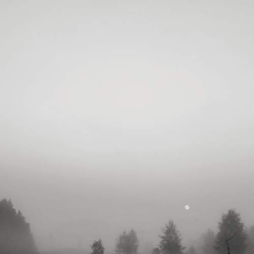 Photo #7852153